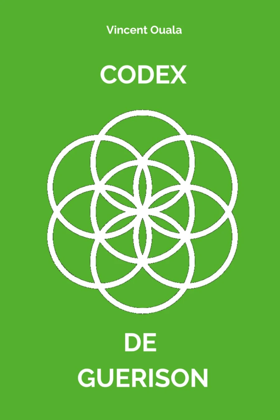 Couverture du livre Le Codex de Guérison de Vincent Ouala